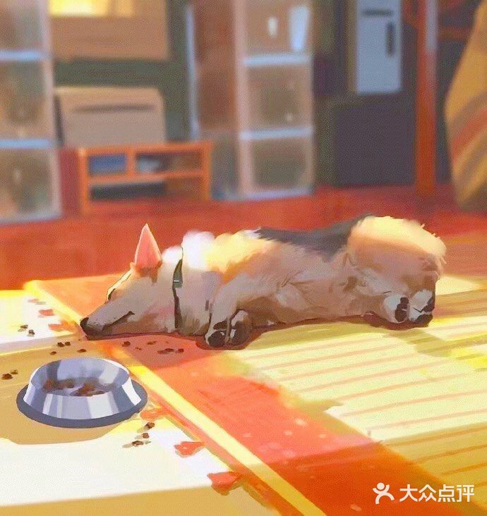 秋日里的狗狗