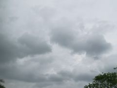 景点-宝安西湾红树林湿地公园