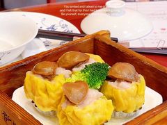 鲍鱼烧卖皇-龙悦湾酒家·八阵鱼生·渔人码头店