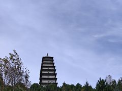 -雁门关景区