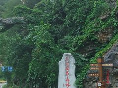 -黑河国家森林公园