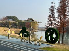 -贡湖湾湿地公园