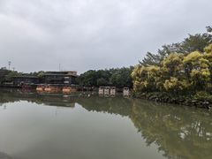 -大湾区中央湿地公园