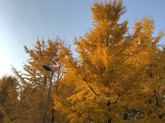 -奥林匹克森林公园南门-停车场