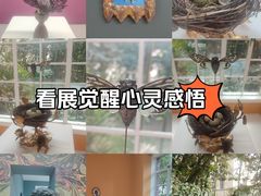 -胶囊画廊