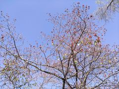 -长春净月潭风景名胜区