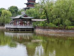-迎泽公园