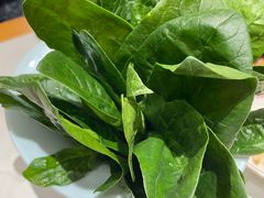 -曲氏老北京铜锅涮肉•火锅(不老街店)