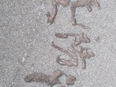 -暨阳湖生态园