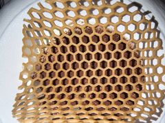-亚特兰蒂斯•OSSIANO奥西亚诺海底餐厅