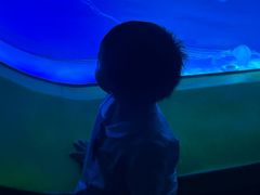-海合安武汉极地海洋公园
