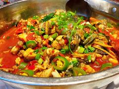 牛蛙火锅-壹盏灯(惠农店)