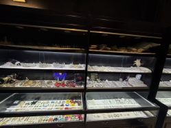 -鼎极摄影(世纪金源店)