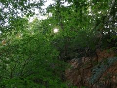 -丹东市五龙山风景区