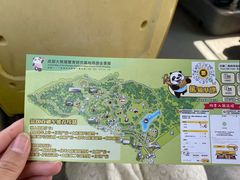 -都江堰中华大熊猫苑