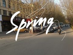 -兆辉木炭海鲜烧烤·海鲜小炒