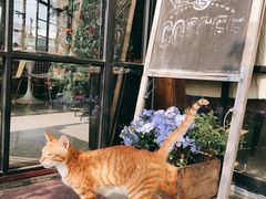 -NOTOOCAFE不二咖啡馆(岩前店)