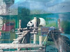 -大青山野生动物园