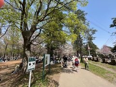 -北海道神宫
