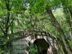 -青龙山国家森林公园