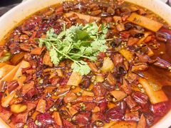 精品毛血旺-陈麻婆豆腐(旗舰店)