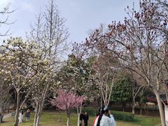 -堤角公园