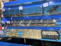-云南巷海鲜大咖·可加工海鲜