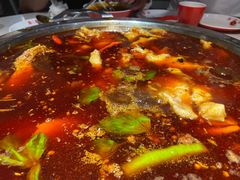 深水花鲢鱼-蜀滋香鲜鱼美蛙火锅(339店)