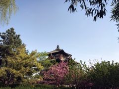 -西安青龙寺遗址景区