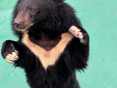 -西安秦岭野生动物园