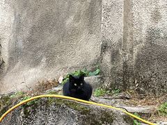 -重庆平顶山公园