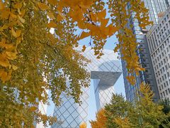 -中央广播电视总台(光华路办公区)