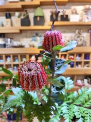 -今日陶艺(富力广场店)