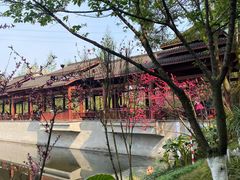 -重庆彩云湖湿地公园