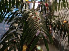 -涟LIAN·泰式按摩·MASSAGE·SPA(华强北店)