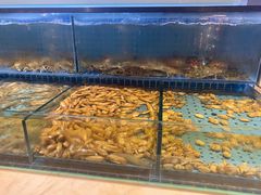 -冀粤香海鲜自助餐厅(西美五洲店)