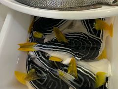 -吕四渔港码头海鲜餐厅