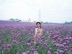 -紫颐香薰山谷景区