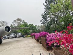 -云岗森林公园