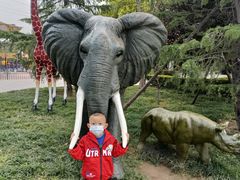 -辛玛王国游乐园