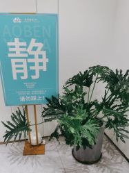 -奥本瑜伽·普拉提
