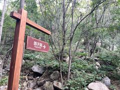 -大岭沟猕猴桃谷风景区