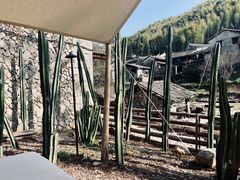 -MOJ coffee(瓯海泽雅水碓坑店)