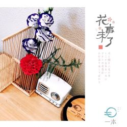 -一本X目奈子日式单根美睫专业店