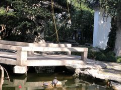 -静安公园(静安寺街道)