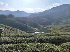 -龙坞茶村