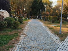 -莫子山公园