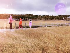 -塞罕坝国家级自然保护区