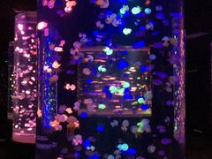 -邯郸海洋世界