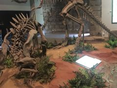 -自贡恐龙博物馆